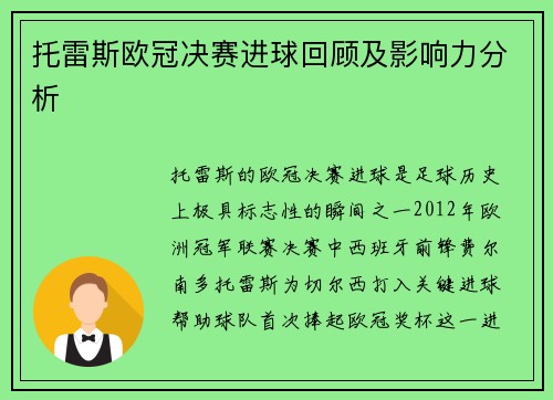 托雷斯欧冠决赛进球回顾及影响力分析