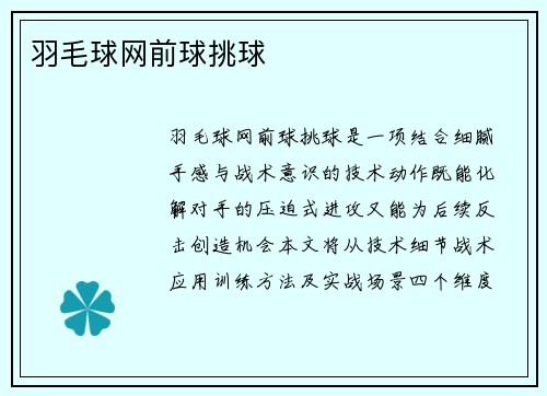 羽毛球网前球挑球
